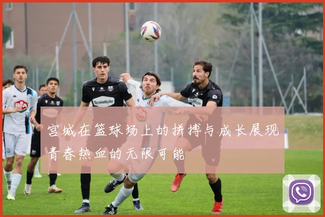 宫城在篮球场上的拼搏与成长展现青春热血的无限可能