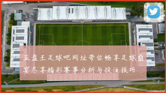 亚盘王足球吧网址带你畅享足球盛宴尽享精彩赛事分析与投注技巧