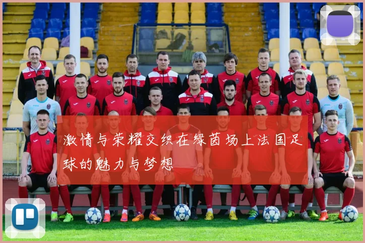 激情与荣耀交织在绿茵场上法国足球的魅力与梦想