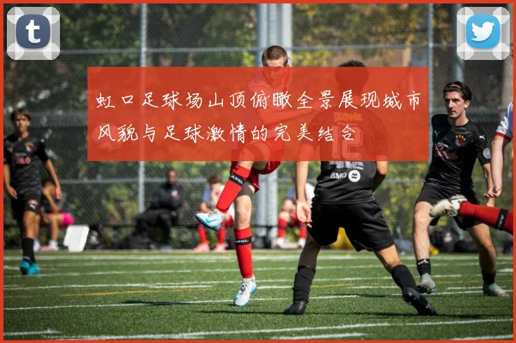 虹口足球场山顶俯瞰全景展现城市风貌与足球激情的完美结合