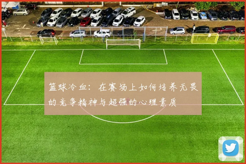篮球冷血：在赛场上如何培养无畏的竞争精神与超强的心理素质
