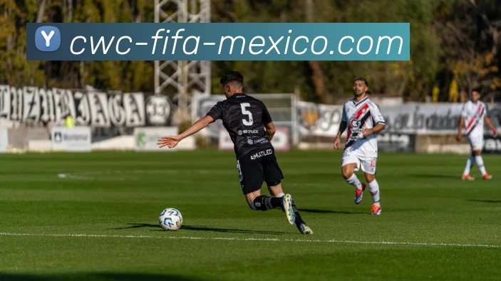 世界杯平台平台生态图